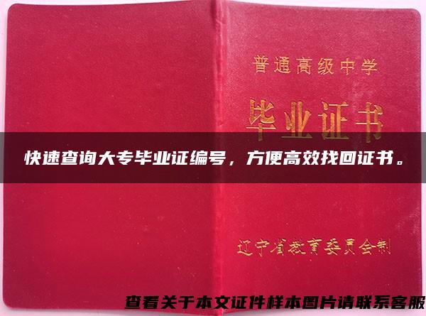 快速查询大专毕业证编号，方便高效找回证书。