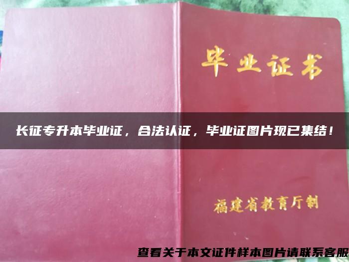 长征专升本毕业证，合法认证，毕业证图片现已集结！