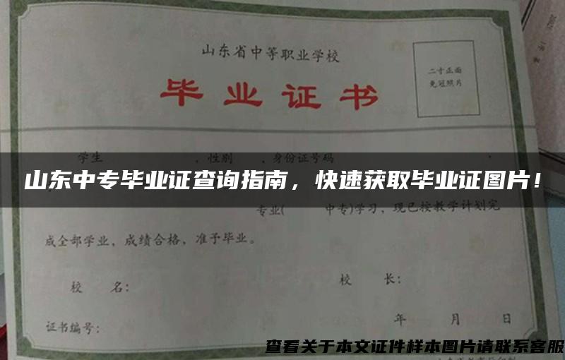 山东中专毕业证查询指南，快速获取毕业证图片！