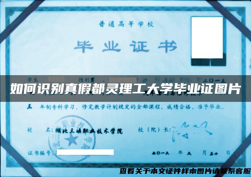 如何识别真假都灵理工大学毕业证图片