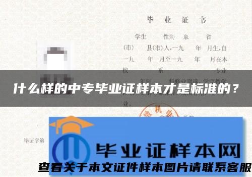 什么样的中专毕业证样本才是标准的？