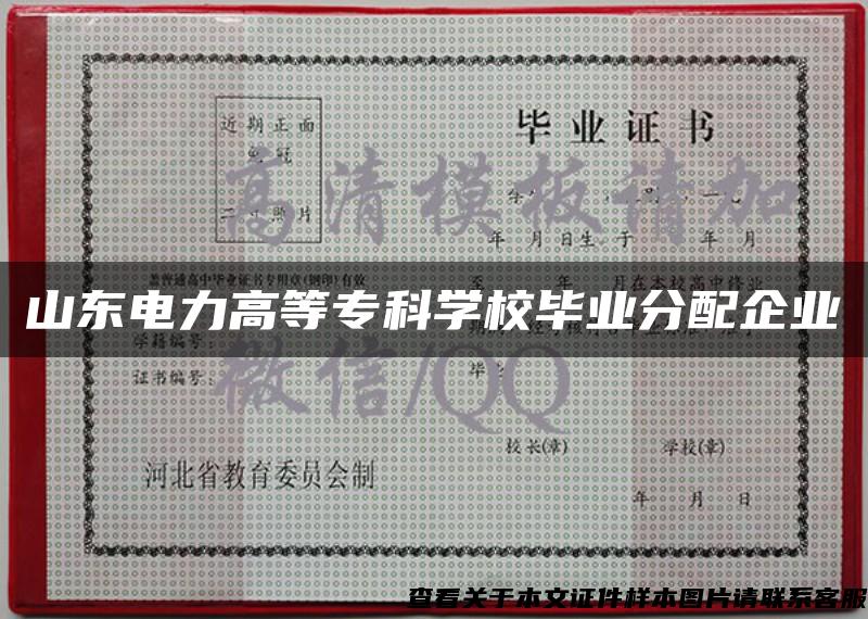 山东电力高等专科学校毕业分配企业