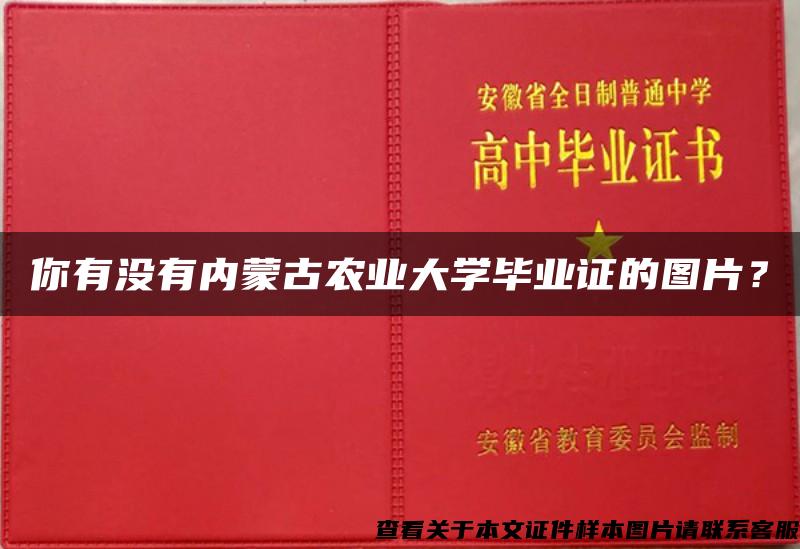 你有没有内蒙古农业大学毕业证的图片？