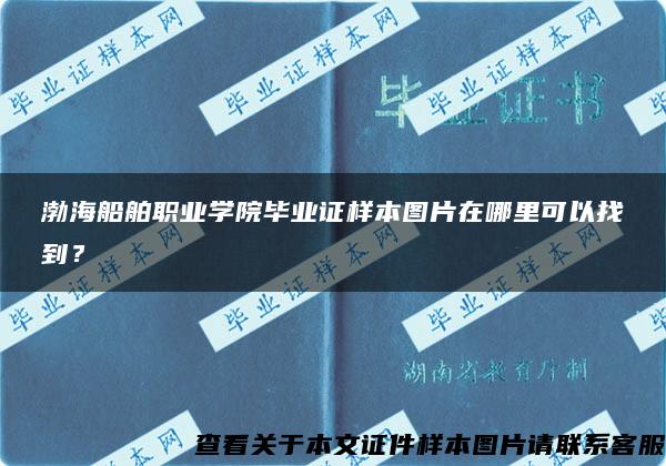 渤海船舶职业学院毕业证样本图片在哪里可以找到？