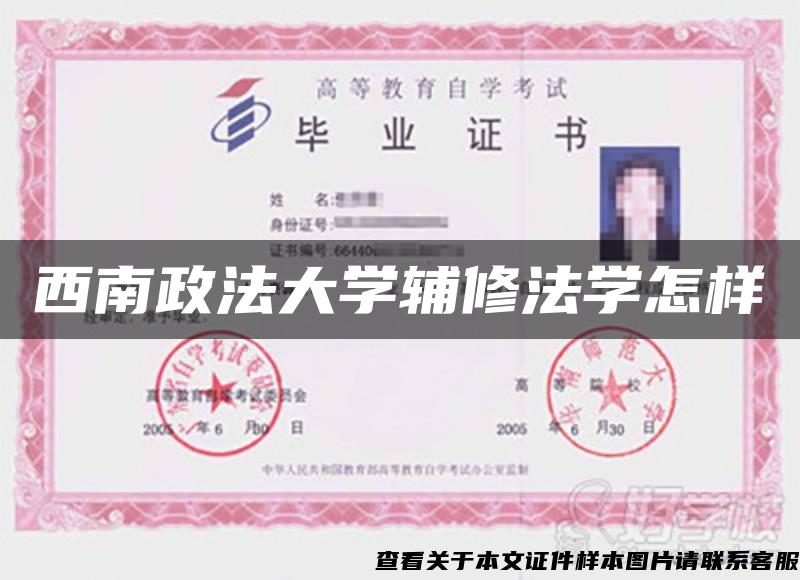 西南政法大学辅修法学怎样