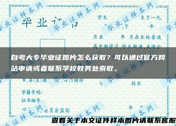 自考大专毕业证图片怎么获取？可以通过官方网站申请或者联系学校教务处索取。