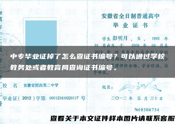 中专毕业证掉了怎么查证书编号？可以通过学校教务处或者教育局查询证书编号。