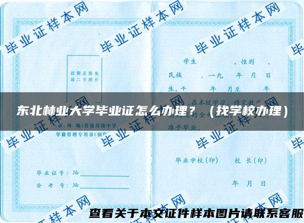 东北林业大学毕业证怎么办理？（找学校办理）