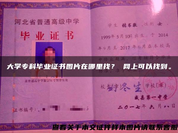 大学专科毕业证书图片在哪里找？ 网上可以找到。