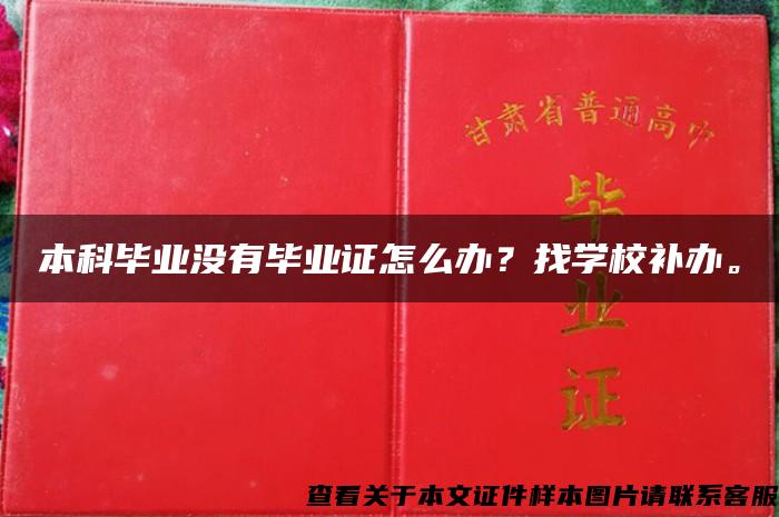 本科毕业没有毕业证怎么办？找学校补办。