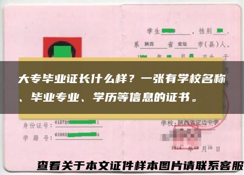 大专毕业证长什么样？一张有学校名称、毕业专业、学历等信息的证书。