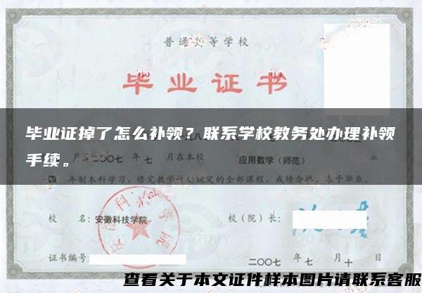 毕业证掉了怎么补领？联系学校教务处办理补领手续。