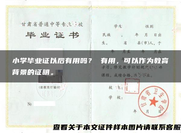 小学毕业证以后有用吗？ 有用，可以作为教育背景的证明。