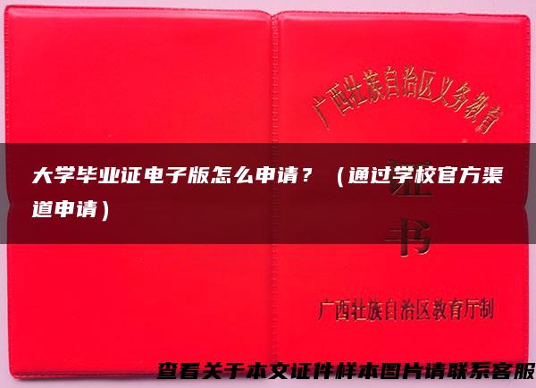 大学毕业证电子版怎么申请？（通过学校官方渠道申请）