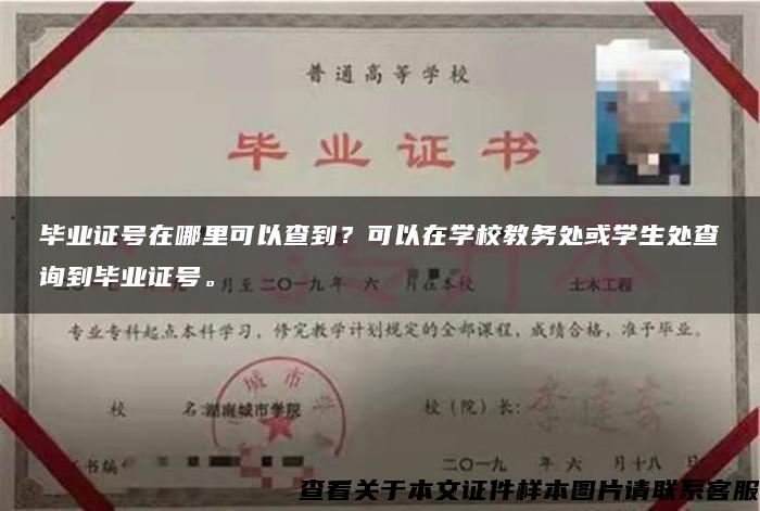 毕业证号在哪里可以查到？可以在学校教务处或学生处查询到毕业证号。