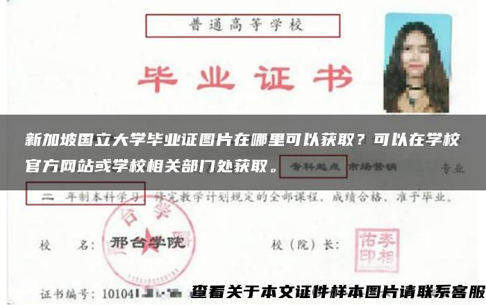 新加坡国立大学毕业证图片在哪里可以获取？可以在学校官方网站或学校相关部门处获取。