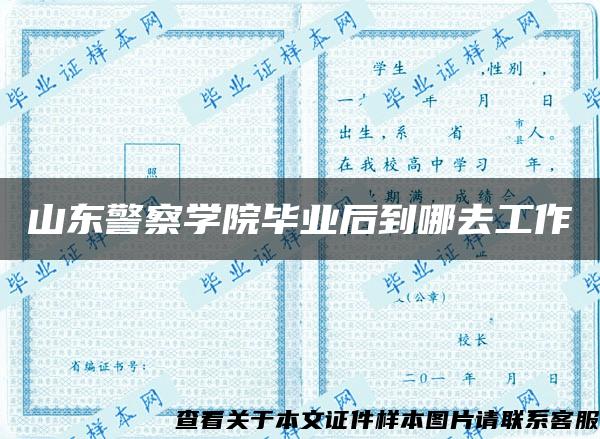 山东警察学院毕业后到哪去工作