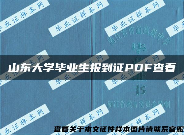 山东大学毕业生报到证PDF查看