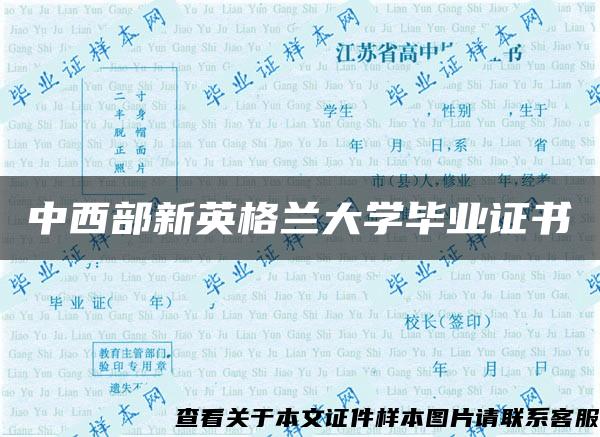 中西部新英格兰大学毕业证书