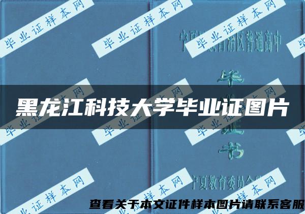 黑龙江科技大学毕业证图片