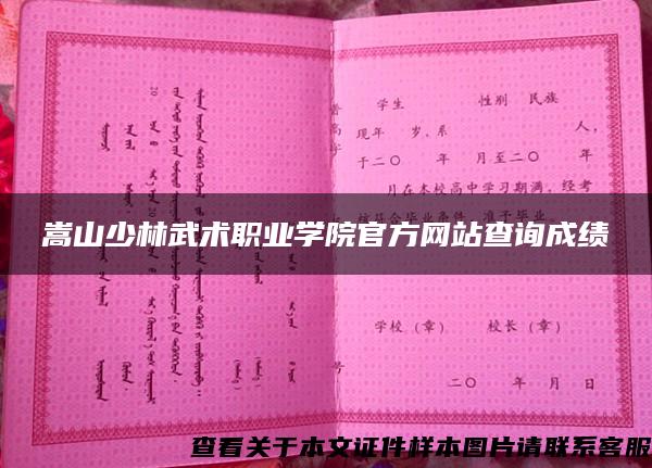 嵩山少林武术职业学院官方网站查询成绩