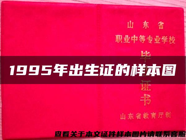 1995年出生证的样本图