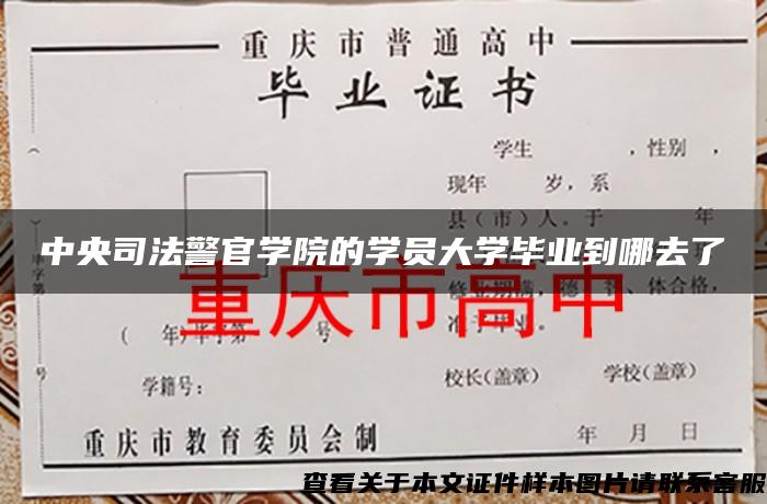 中央司法警官学院的学员大学毕业到哪去了