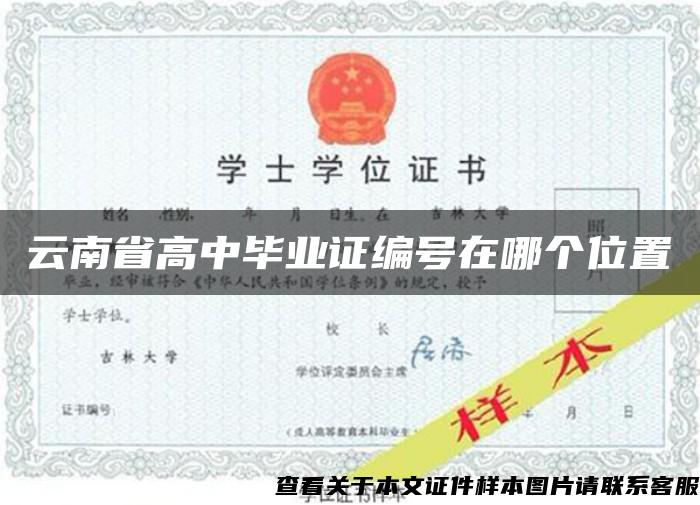 云南省高中毕业证编号在哪个位置