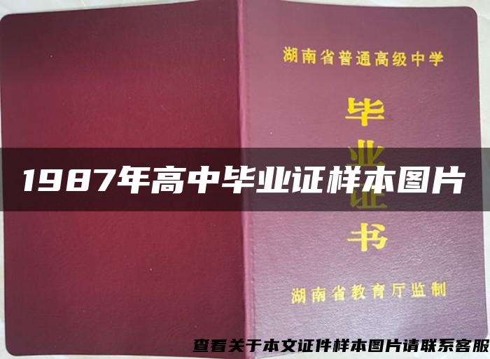 1987年高中毕业证样本图片