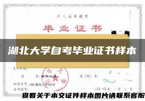 湖北大学自考毕业证书样本