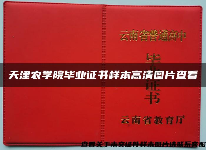 天津农学院毕业证书样本高清图片查看