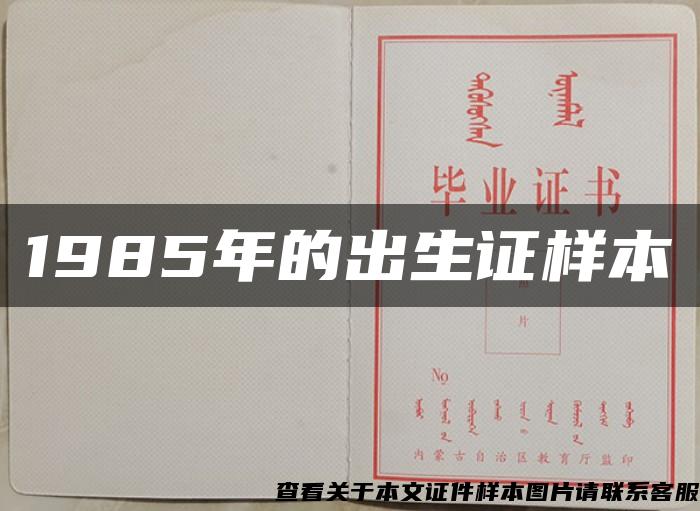 1985年的出生证样本