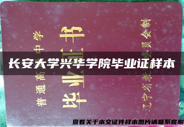 长安大学兴华学院毕业证样本