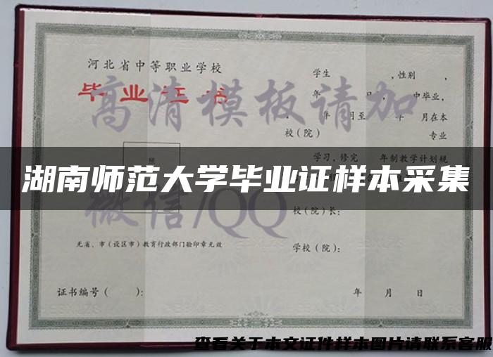 湖南师范大学毕业证样本采集