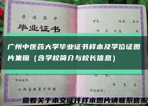 广州中医药大学毕业证书样本及学位证图片集锦（含学校简介与校长信息）缩略图