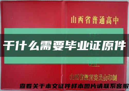 干什么需要毕业证原件缩略图