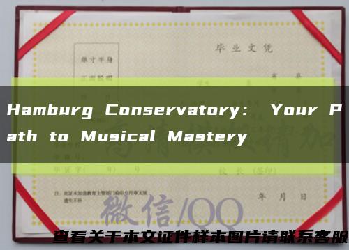 Hamburg Conservatory： Your Path to Musical Mastery缩略图