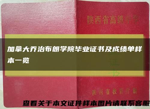 加拿大乔治布朗学院毕业证书及成绩单样本一览缩略图