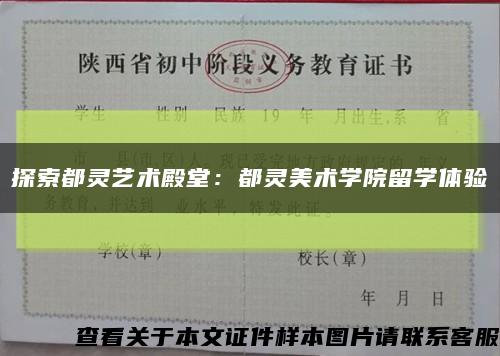 探索都灵艺术殿堂：都灵美术学院留学体验缩略图