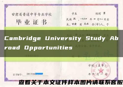 Cambridge University Study Abroad Opportunities缩略图