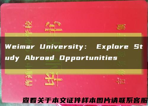 Weimar University： Explore Study Abroad Opportunities缩略图