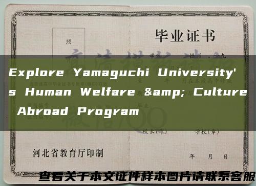 Explore Yamaguchi University's Human Welfare & Culture Abroad Program缩略图