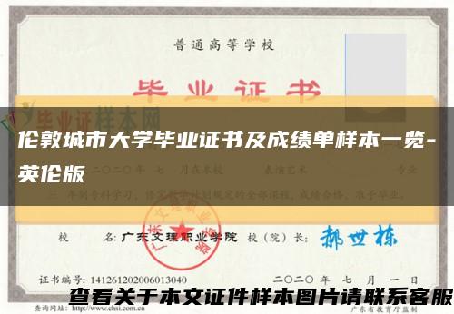 伦敦城市大学毕业证书及成绩单样本一览-英伦版缩略图