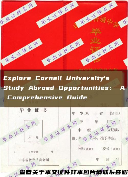 Explore Cornell University's Study Abroad Opportunities： A Comprehensive Guide缩略图