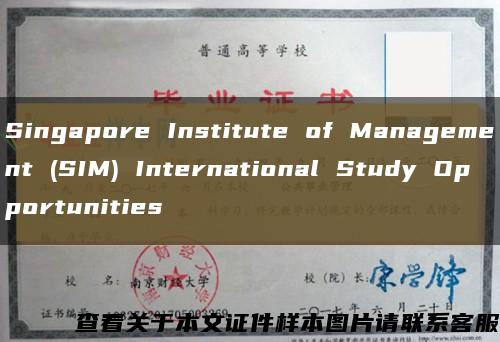 Singapore Institute of Management (SIM) International Study Opportunities缩略图