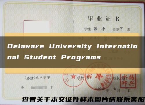 Delaware University International Student Programs缩略图