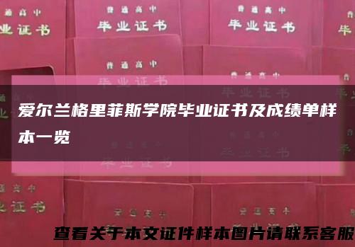 爱尔兰格里菲斯学院毕业证书及成绩单样本一览缩略图