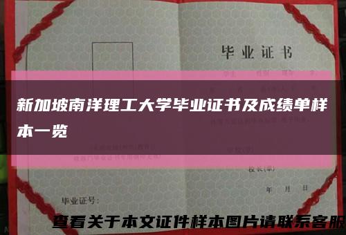 新加坡南洋理工大学毕业证书及成绩单样本一览缩略图