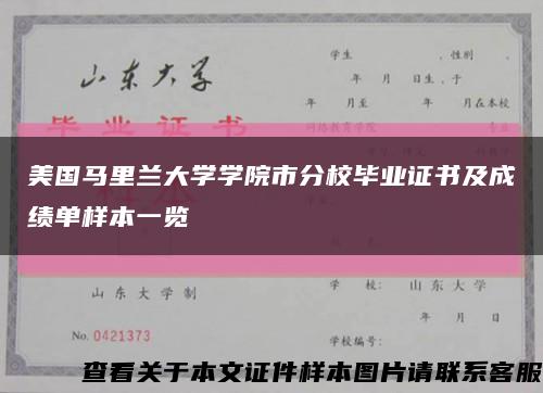 美国马里兰大学学院市分校毕业证书及成绩单样本一览缩略图