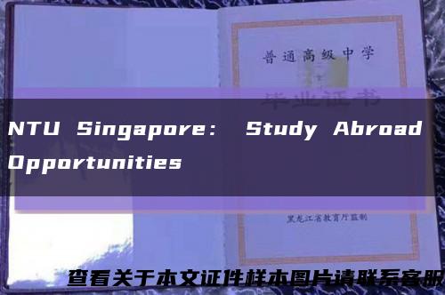 NTU Singapore： Study Abroad Opportunities缩略图